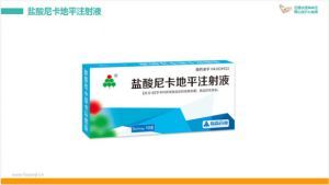 鹽酸尼卡地平注射液